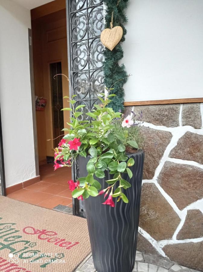 Hotel Millefiori Vigo di Fassa Extérieur photo